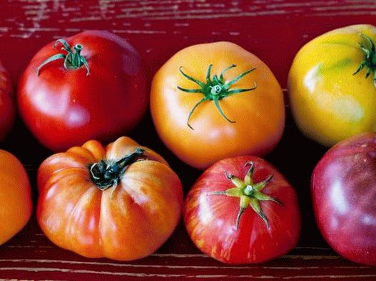Los tomates se adaptan perfectamente a cualquier plato y son especialmente buenos en ensaladas caprese o gazpacho frío