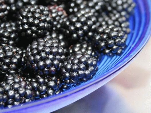 Blackberry le da un sabor dulce y una textura lujosa a los desayunos y postres