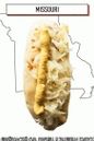 hot dog con queso suizo derretido, mostaza y chucrut