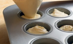 Galleta Victoria