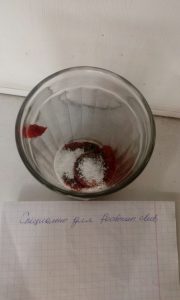 Borsch en caldo de pollo