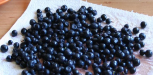 Blueberry mannik