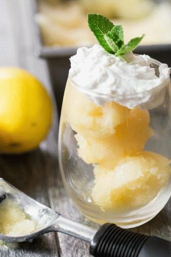 Foto sorbete de cítricos con limoncello
