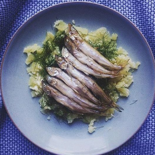 Foto salsa salsa griega