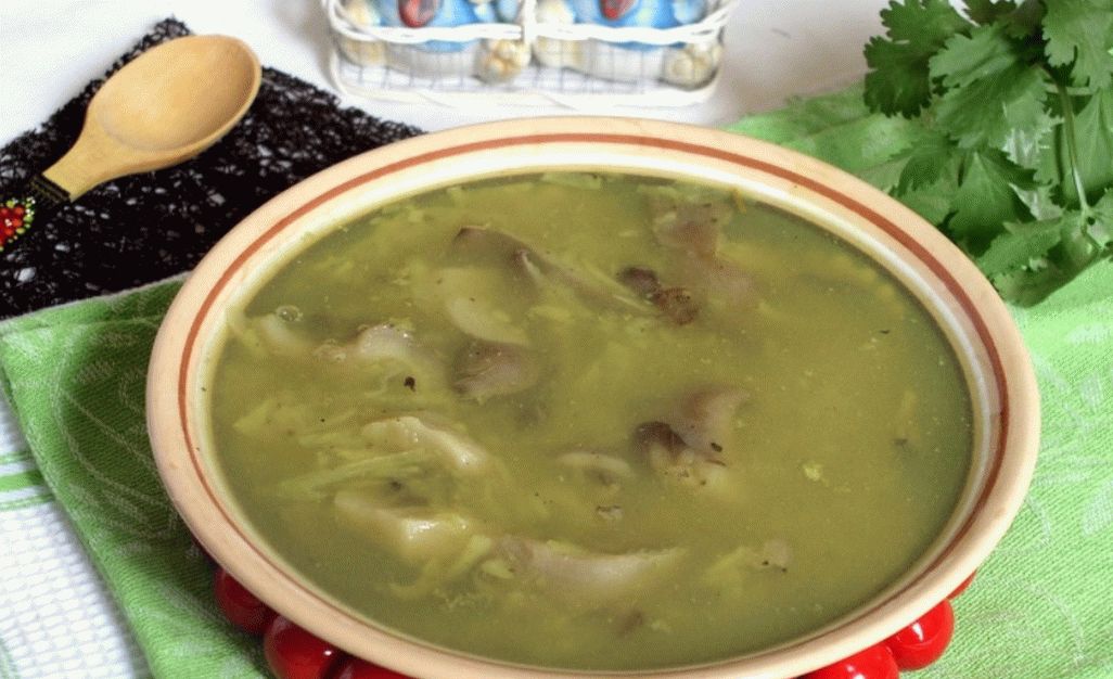Sopa de champiñones según Mikhailov