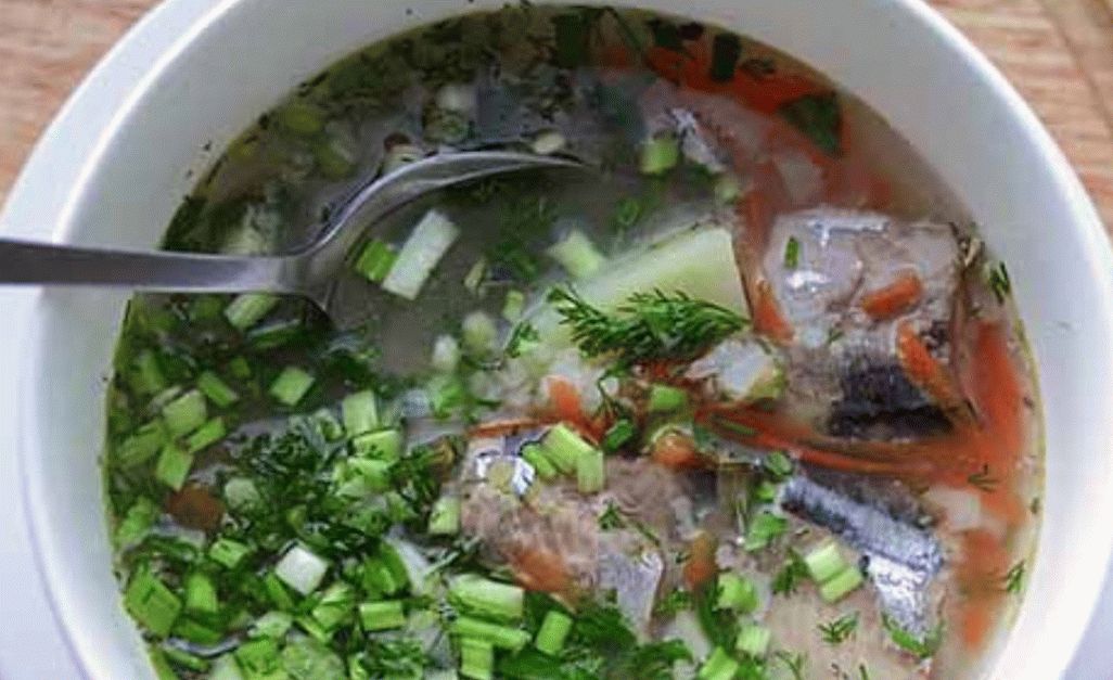 Sopa de pescado Bachelor