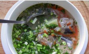 Sopa de pescado Bachelor