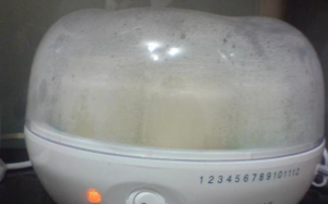 Ryazhenka en una máquina de yogurt