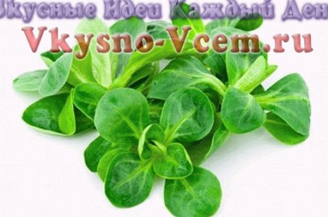 Los beneficios únicos de la ensalada de maíz