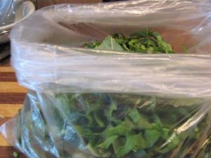 Acedera para el invierno sin sal