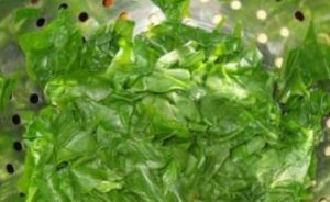 Espinacas para el invierno