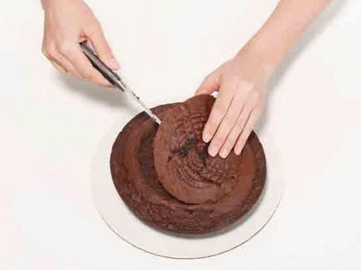 Profundiza en la galleta