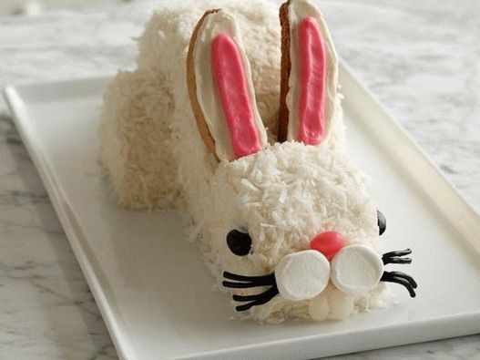 Coloca el hocico con el esmalte