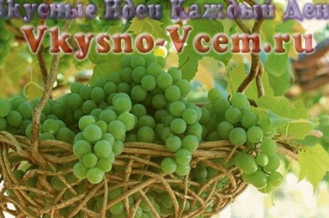 Hojas de uva para el invierno