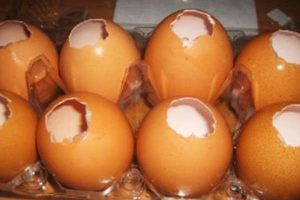 Huevos en gelatina