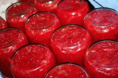 Borsch vistiéndose para el invierno